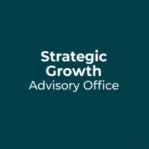 Strategic Growth Advisory Office
